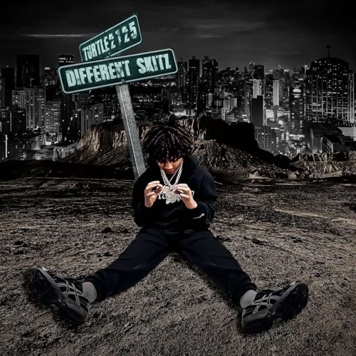 Turtle2125 x King boolu - different skitz