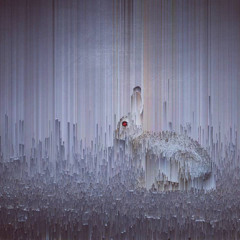 Welcome to The Rhizomatic