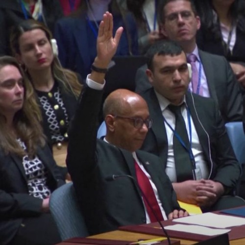 The US Doesn't Support A Two - State Solution, It Just Supports Saying It Does