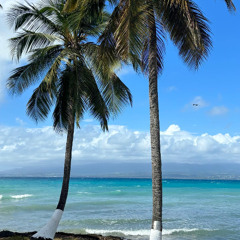 Mizik Ka Déssan Kon Kann vol.10