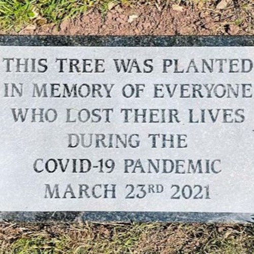 I remember- Exeter's memory of the Covid-19 pandemic