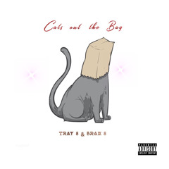 Cats out the Bag (ft. Brax) [Prod. Noden]