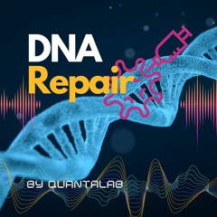 DNArepair_m180-reversesawtooth-384kHz.flac
