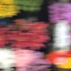Nem Tudo São Flores (download grátis)