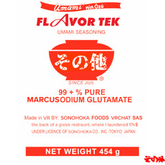 MARCUS DUBS - FLAVOR TEK (FREE DL)