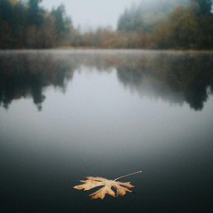 En stad vid en sjö