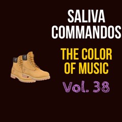 The Color Of Music Vol. 38