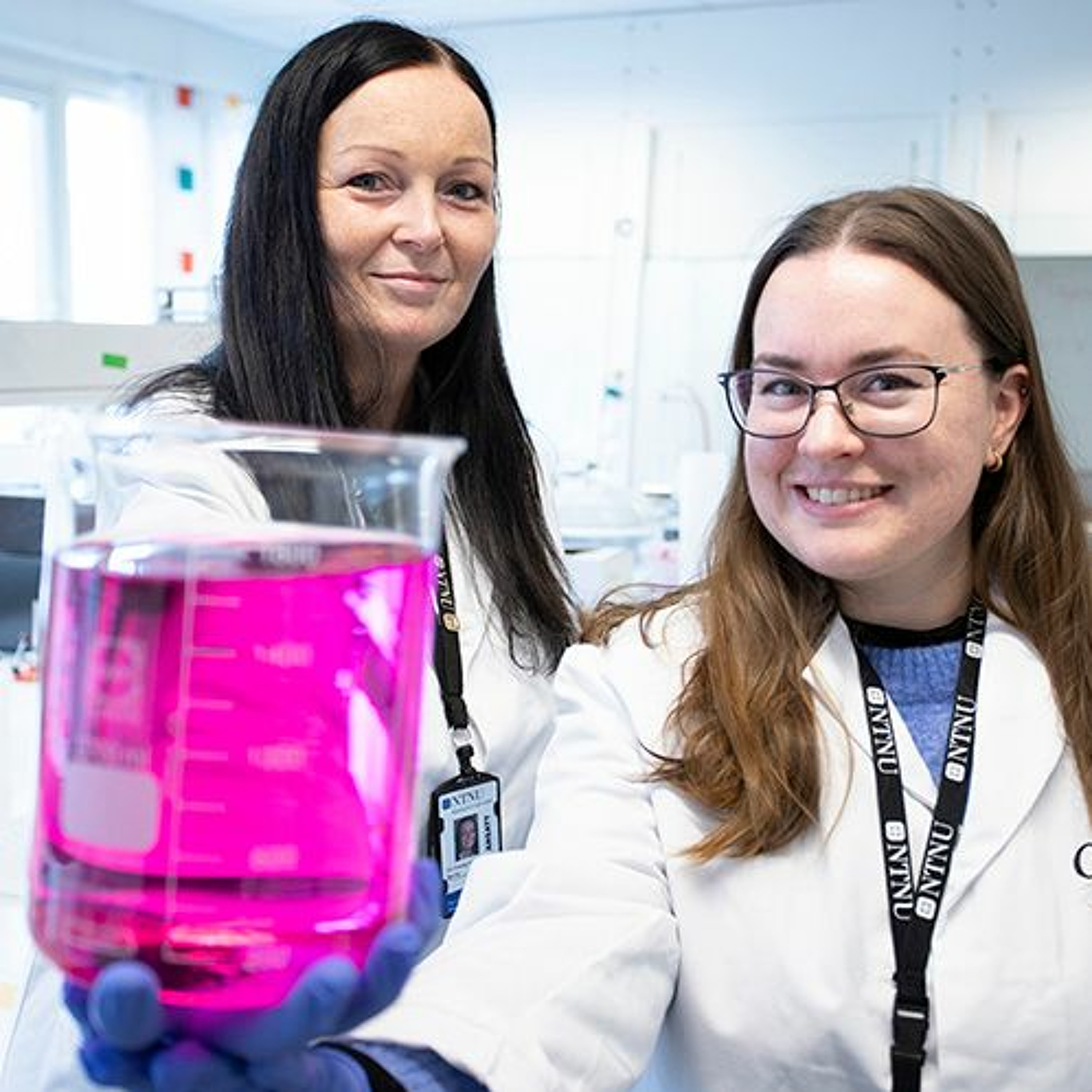 Hav, handel og helse - forskning og utvikling ved NTNU i Ålesund
