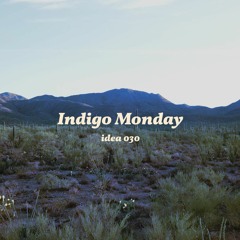 IndigoMonday-Idea030