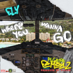 Where You Wanna Go feat F.L.Y & Picaso Famouz