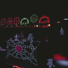 Tribe Safariparty 09.11.