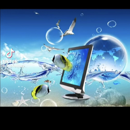 Hunnid’s of Bands- Jett, Tyson, & A1