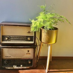 EigenklangHavredePerche