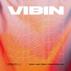 VIBIN (Extended Mix)