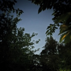 Unreleased Song - (Cover)