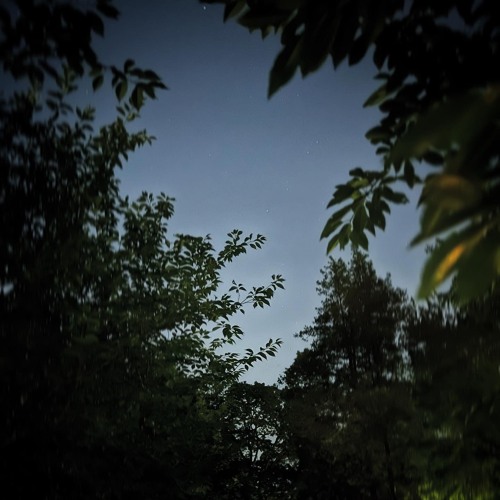 Unreleased Song - (Cover)