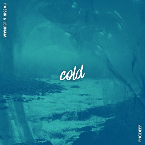 PASSIK & Leunam - Cold