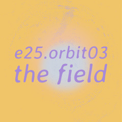 e25.orbit03 - the field