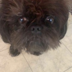 Drunk Stu Zaddy feat Mixah