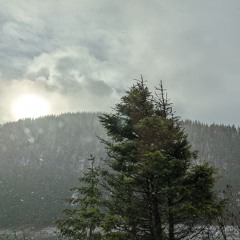 Breathing In Breathing Out  (Chant)