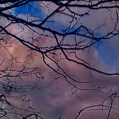 Fly To The Sky (Mix #1)