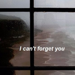 Unforgettable (Been Had Remix)