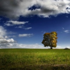 Adyghe background chill out music 🍪FREE DOWNLOAD