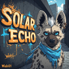 Solar Echo