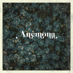Anêmona
