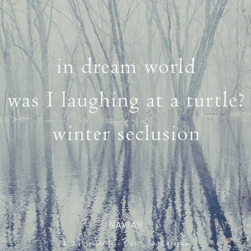 haiku #488: in dream world / was I laughing at a turtle? / winter seclusion