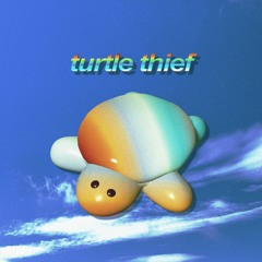 turtle thief
