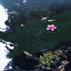 Népal - Lemonade (Lofi remix)