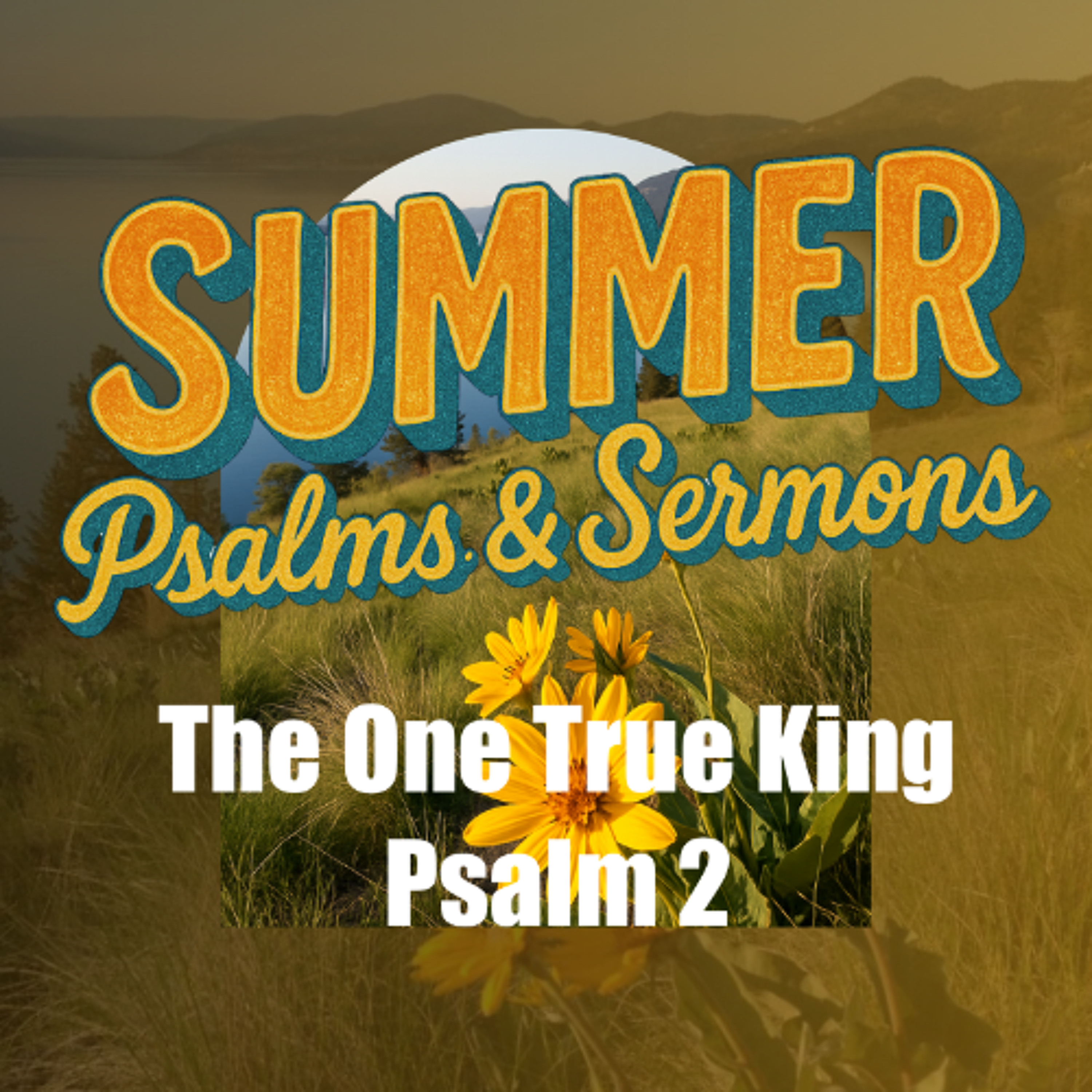 July 20/25 | The One True King | Psalm 2 | Mark Cox episode artwork