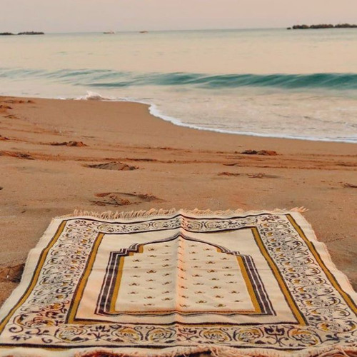 سورة الملك | د. محمد عبد الستار