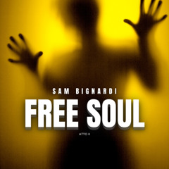 Sam Bignardi - Free Soul
