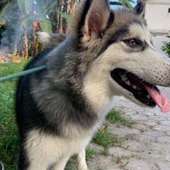 DJ LUTHFI AP - 29 OKTOBER 2022 SPECIAL BIRTHDAY PARTY #1.mp3