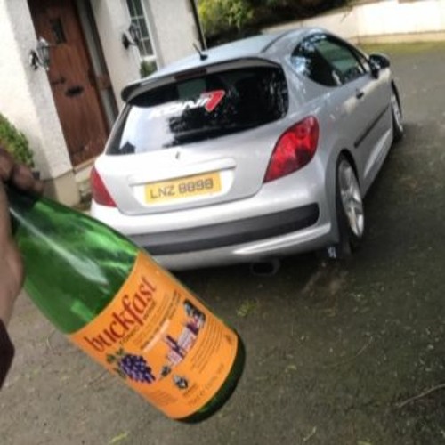road goes on forever but the party don't stop