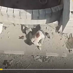 تلاوة خاشعة لاحد المجاهدين الصامدين فث غزة .. اذن للذين يقاتلون