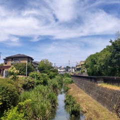 蛍