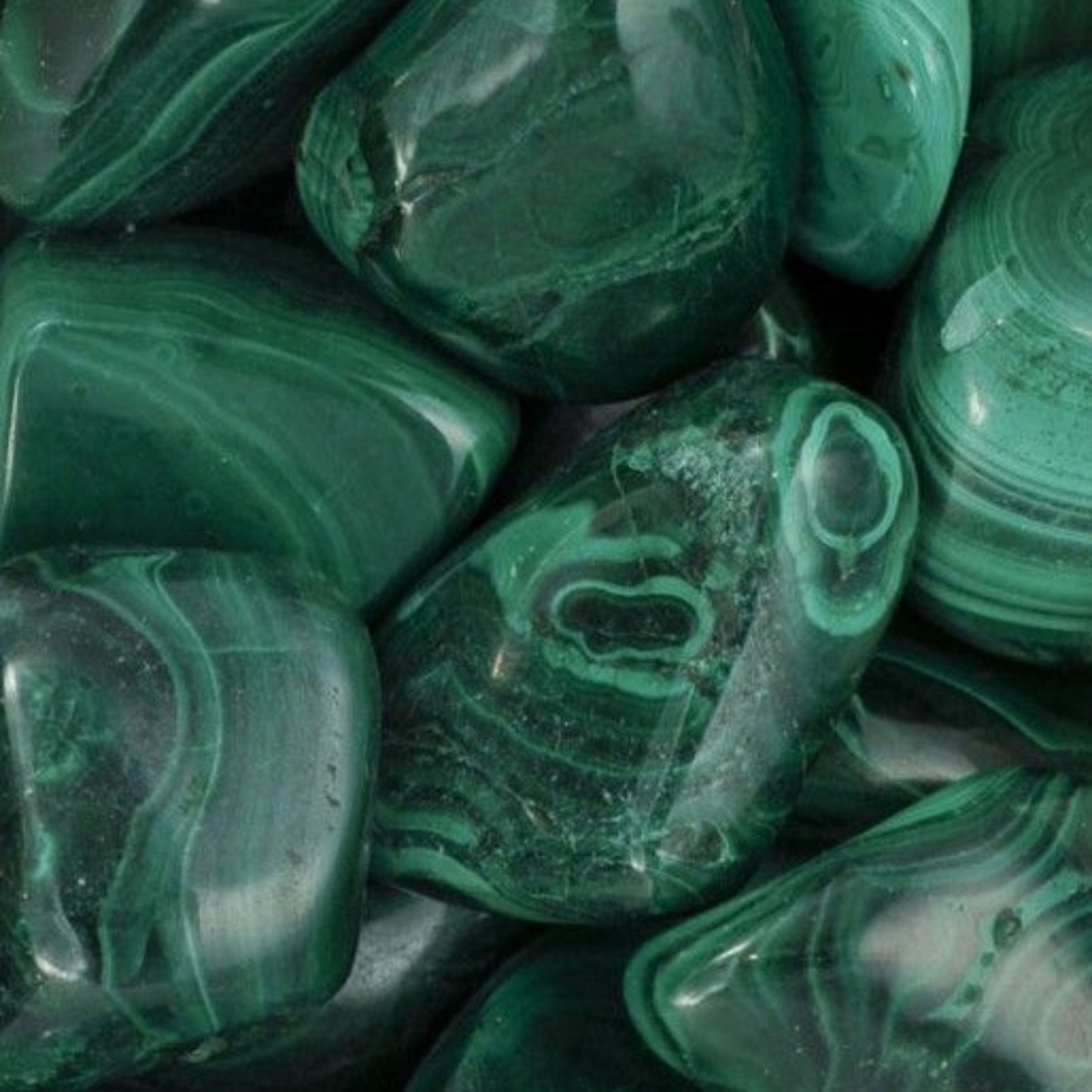 Verdant Recordings