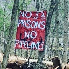 No Prisons, No Pipelines