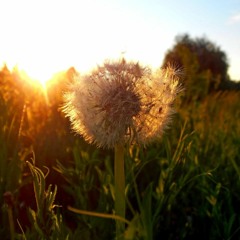 Summer Is Coming