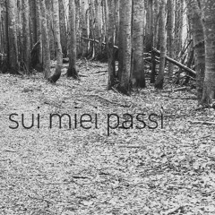 sui miei passi