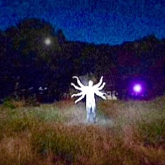 1LIFE (lyrics in dec)