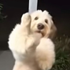 DRAKESS (feat.4lyja)