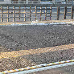 ロードトリップ(仮)