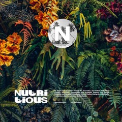 Nutritious : DJ Sets