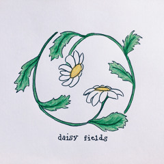 daisy fields