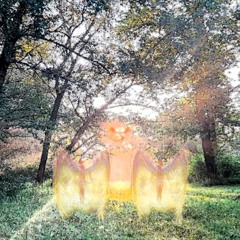 ф3никс + coldplvg (118homeee + naceit)