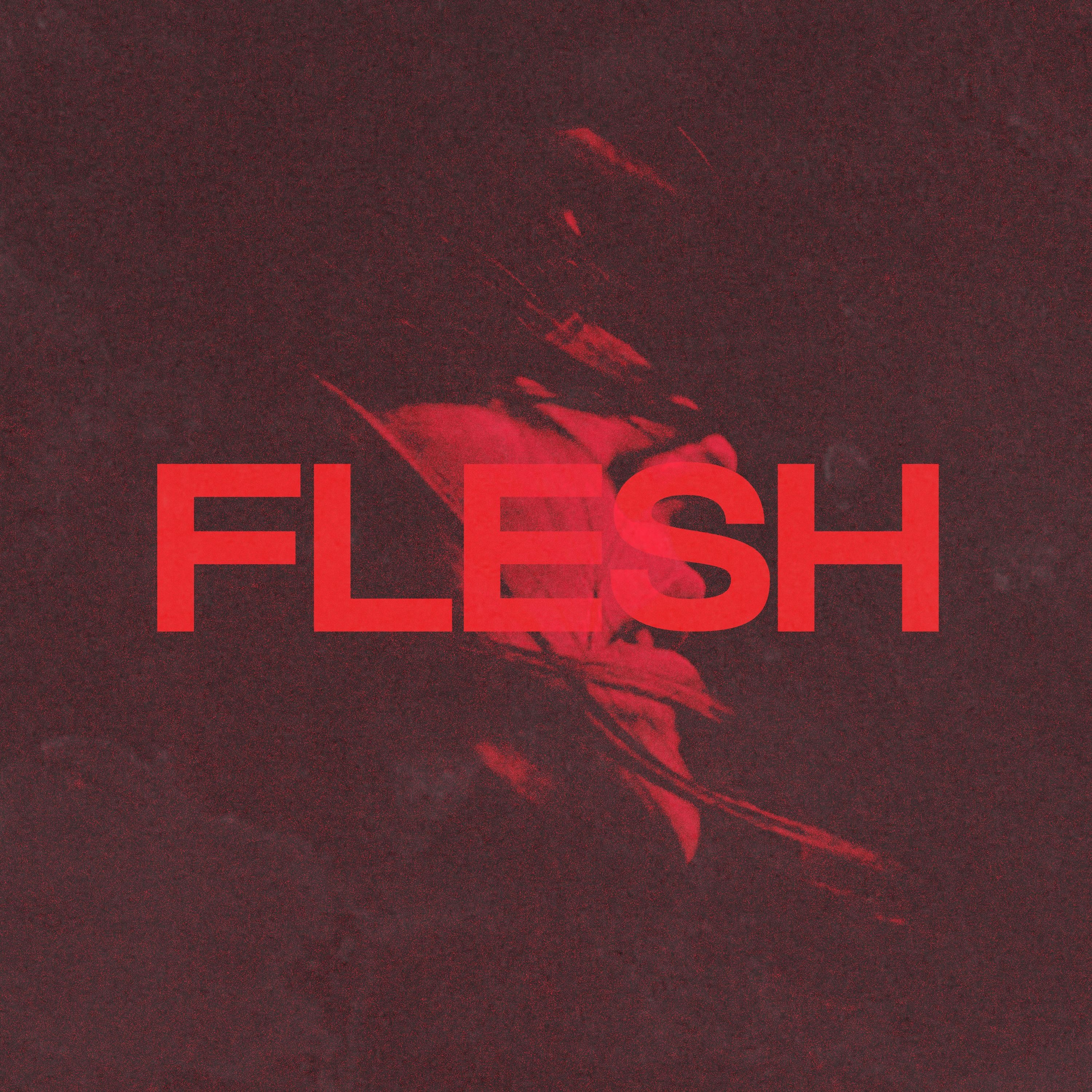 Flesh episode artwork